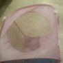 Dora the explorer storage basket Image 4