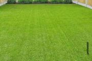45mm Artificial Carpet Grass