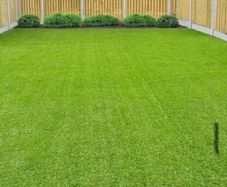 45mm Artificial Carpet Grass