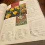 Complete guide to gardening season by season Image 4
