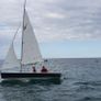 Wayfarer MK4 Sail No. 10509 Image 2