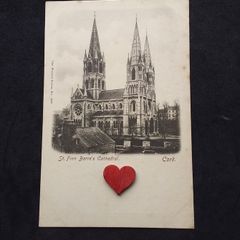 Ireland Postcard : St. Finn Barre's Cathedral , Cork - 1900s , A Wrench Series Postcard