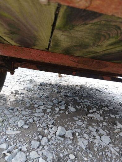 sheep/calf trailer