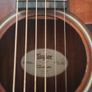 Taylor GS Mini-e Acoustic Electric Guitar (Sunburst) Image 2