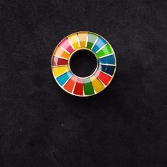 United Nations Sustainable Development Goals ( SDGs ) , Pin Badge