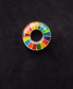 United Nations Sustainable Development Goals ( SDGs ) , Pin Badge