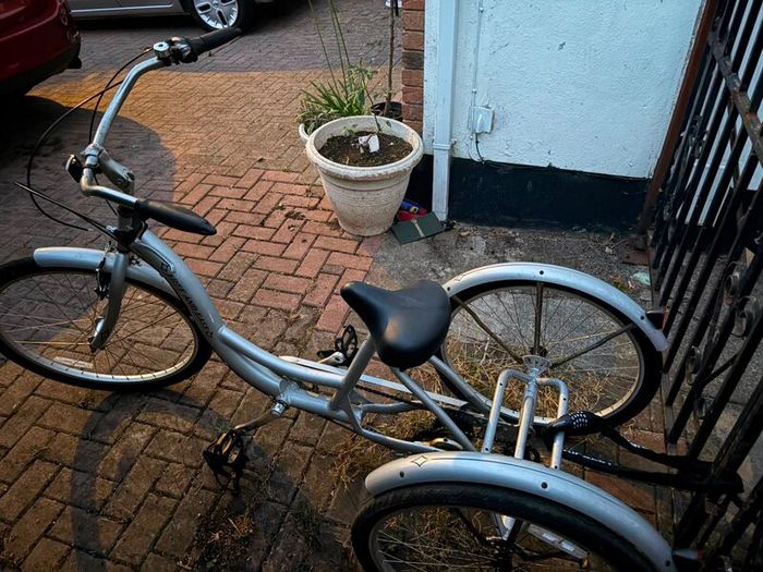 Adult trike
