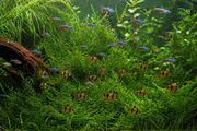 aquarium