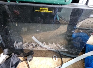 electric fire