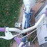 Frozen bike Image 3