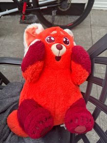 Teddy Bear