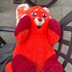Teddy Bear