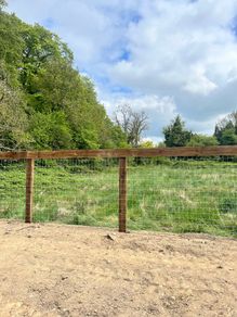 Horse wire fence