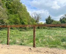 Horse wire fence