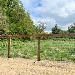 Horse wire fence