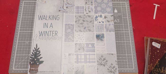 Christmas themed design pads (24)