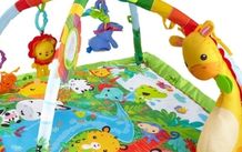 Fisher Price Rainforest playmat