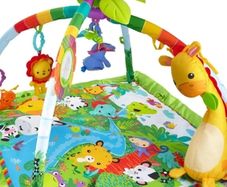 Fisher Price Rainforest playmat