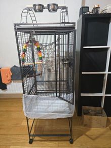 parrot cage