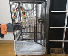 parrot cage