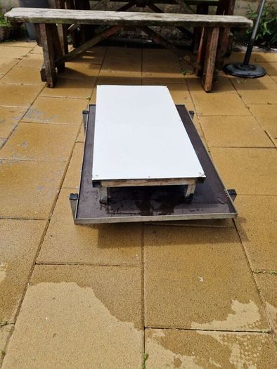 dog bed