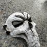 Death Mask Skull Skeleton Masquerade Image 3