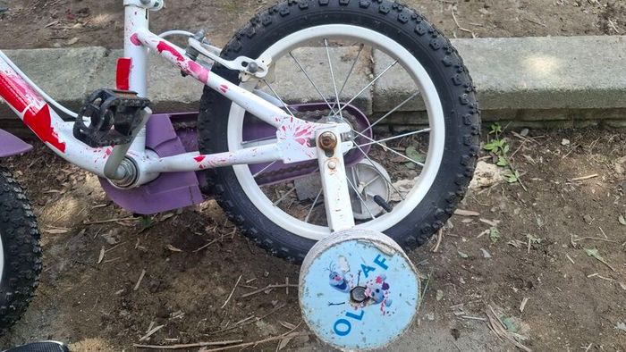 kids 14 inch bike