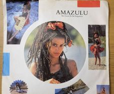Amazulu Too Good To Be Forgotten 7 inch Single 1986