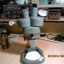stereo microscope Image 2
