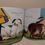Don,t Call Me Choochie Pooh Children,s Story Book Image 9