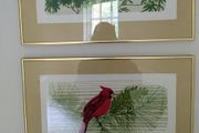 Pair of framed bird prints - red birds