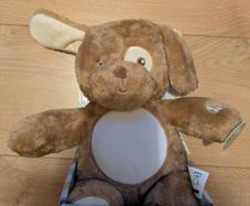 Dreamgro Light & Lullaby Soother Teddy