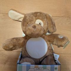 Dreamgro Light & Lullaby Soother Teddy