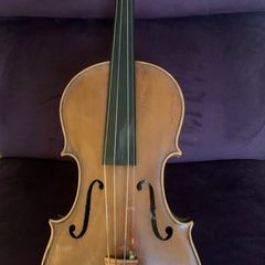 Violin
