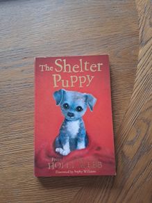 The shelter puppy