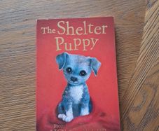The shelter puppy