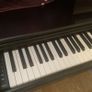 Yamaha Arius  keyboard Image 3