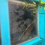 shed Image 3