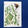 St. Patrick's Day Letter Cards Image 3