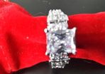 10KT White Gold Filled Ring