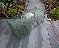 Humane Animal Trap