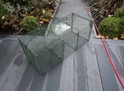 Humane Animal Trap