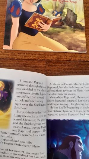 Disney princess books