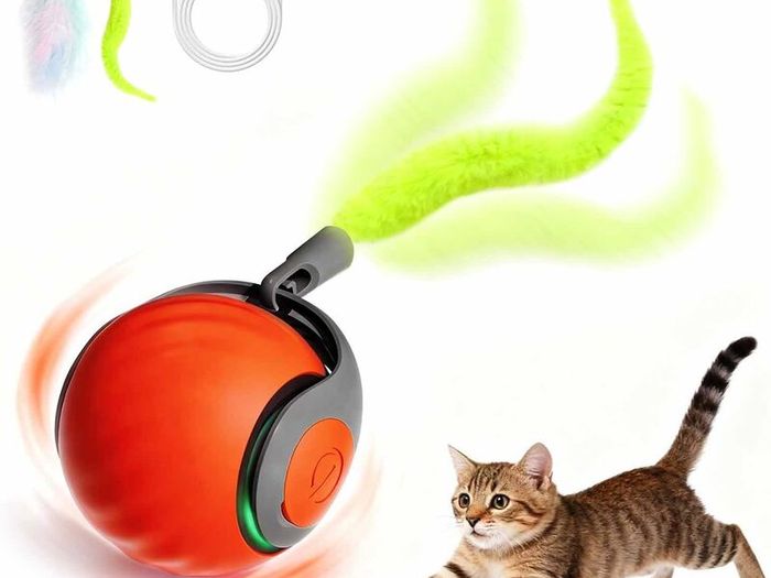 Speedy Tail Cat Toys for Indoor Cats,Smart Interactive Kitten Toy with Feather Tail, 2 Speeds Rechargeable Moving Cat Ball for Bored Indoor Cats, Motion Activated Kitten Rolling Ball Toys