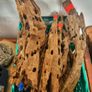 Dragon Wood Image 2