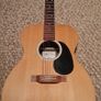 Mint Martin X Series Semi Acoustic Image 2