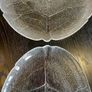 Pair of vintage Arcoroc Aspen Leaf Glass Platters / Plates, Mid century French Dishes Image 8