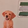 Clever Paws Indoor Potty Pad (Brand New) - 47 x 34cm Image 2