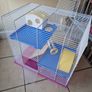 Hamster cage Image 4