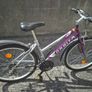 Ladies Bicycle Image 2